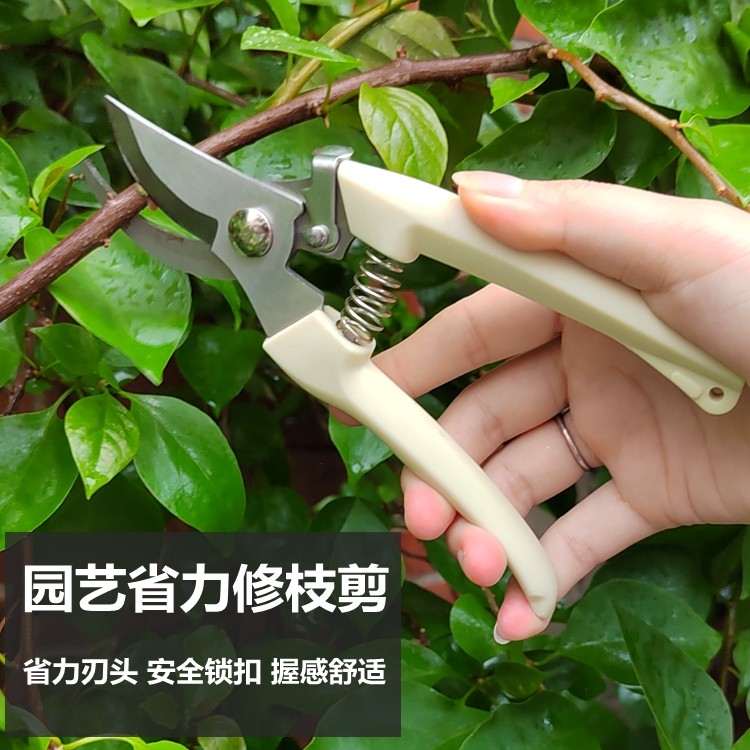 修花剪枝剪刀摘果剪花木修枝剪图片