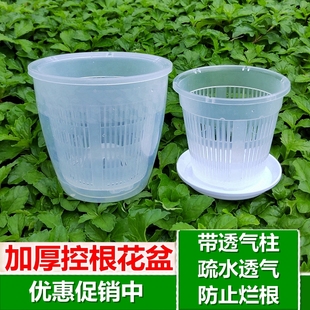 加厚蝴蝶兰花控根花盆网格盆定植篮种植透明育苗钵营养杯水培储水