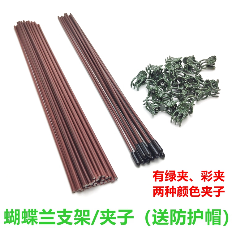 蝴蝶兰支架植物支撑杆植物收拢架