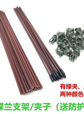 蝴蝶兰支架植物支撑杆植物收拢架