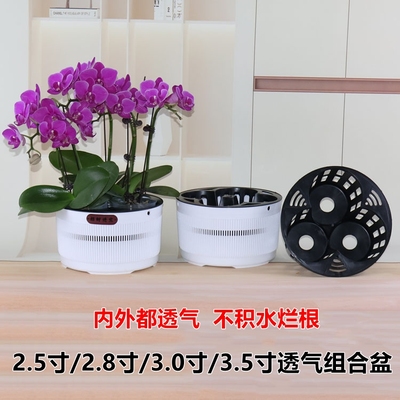 3.5寸兰花杯三孔四孔蝴蝶兰拼组合花盆石斛盆栽育苗钵透气定植篮