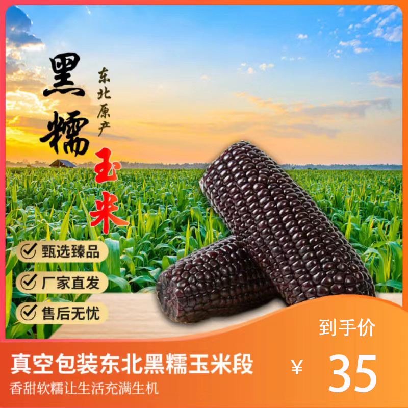 天賦予農(nóng)場東北黑糯玉米新鮮現(xiàn)摘香甜軟糯粗糧棒槌子苞米網(wǎng)紅早餐