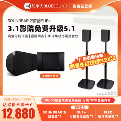 新款bluesoundsound2i智能无线