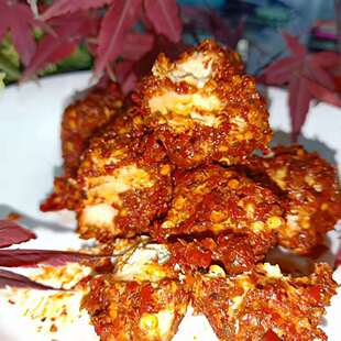 四川赵妹泸州叙永特产宜宾特产兴文特产自家红豆腐散装称重