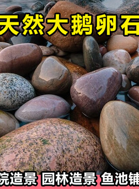 大鹅卵石造景庭院鱼池铺路