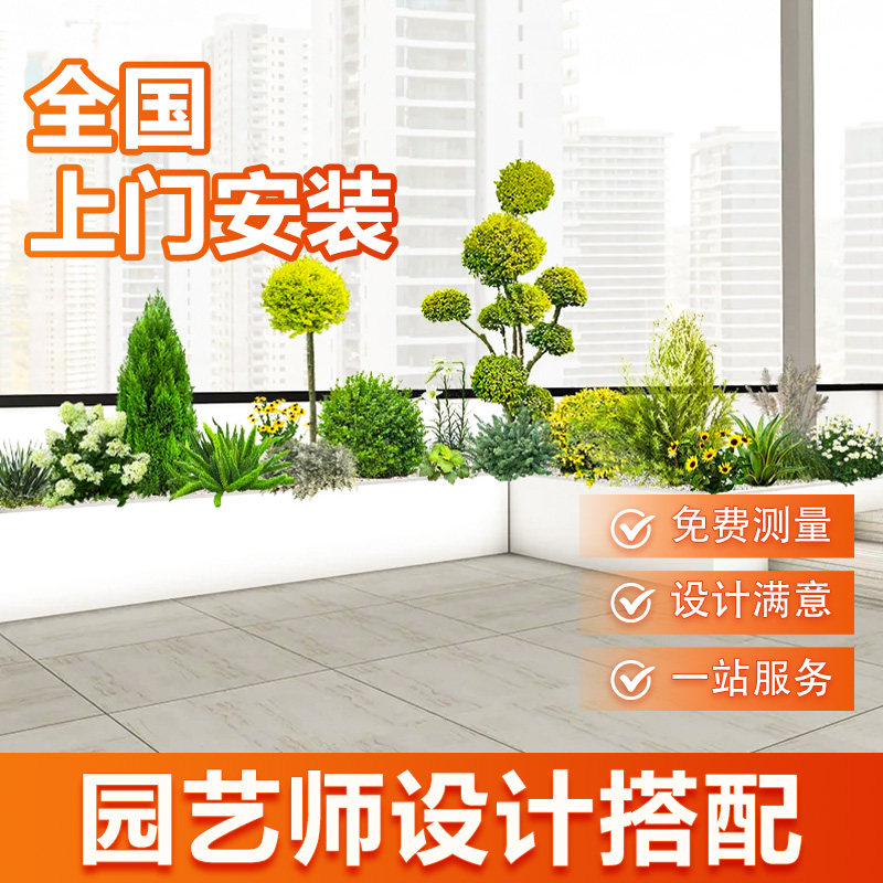 庭院花镜造景植物搭配设计一站式