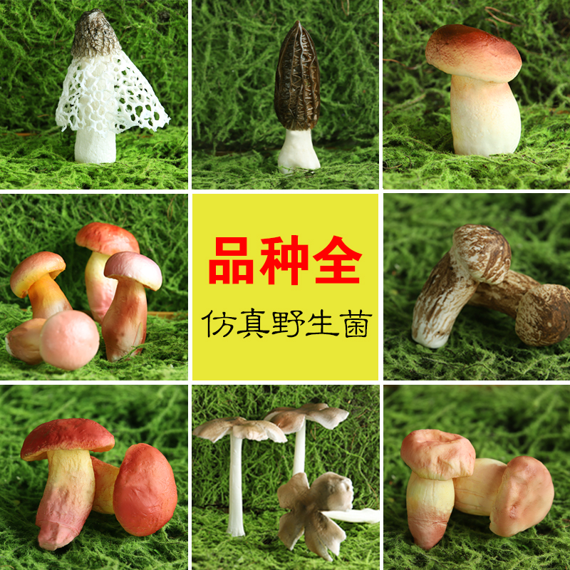 仿真野生菌蘑菇模型微景观布景