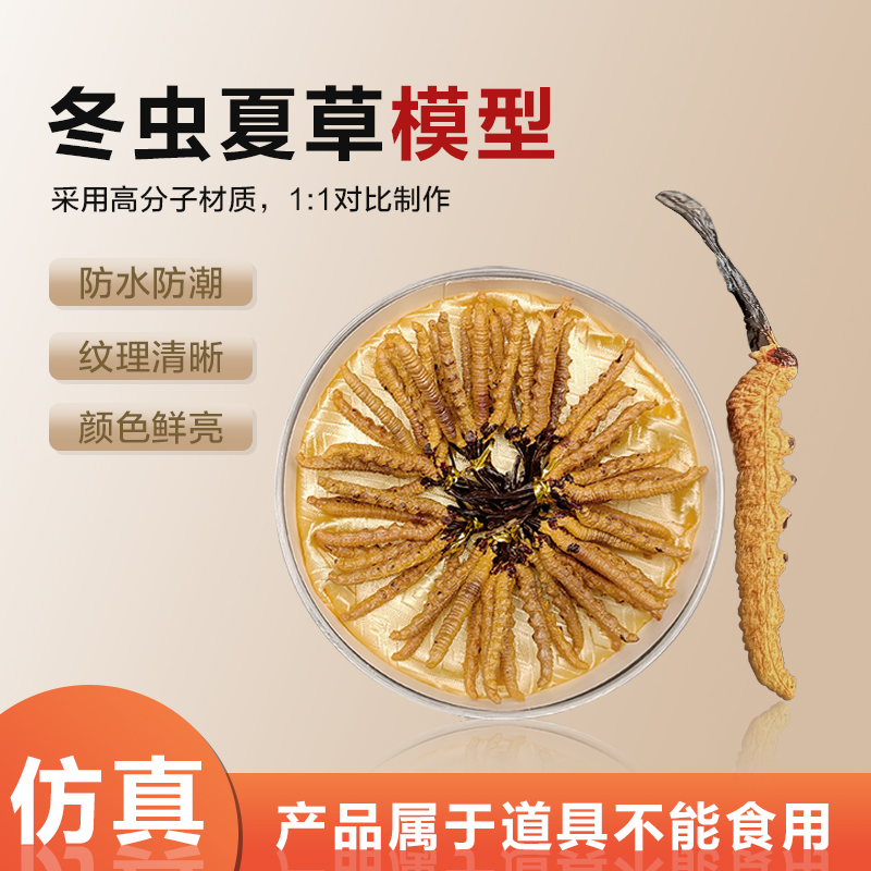 仿真假虫草模型样品冬虫夏草道具拍摄橱窗柜台摆设展可定制可开票