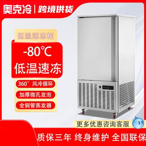 速冻机商用冰箱急冻冰柜冷柜小型冷冻库插盘式制冰机大容量极寒