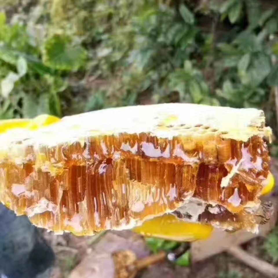 百花蜂蜜纯天然悬崖蜂蜜大排蜂巢蜜食用野生崖蜜送50克土酸送勺子