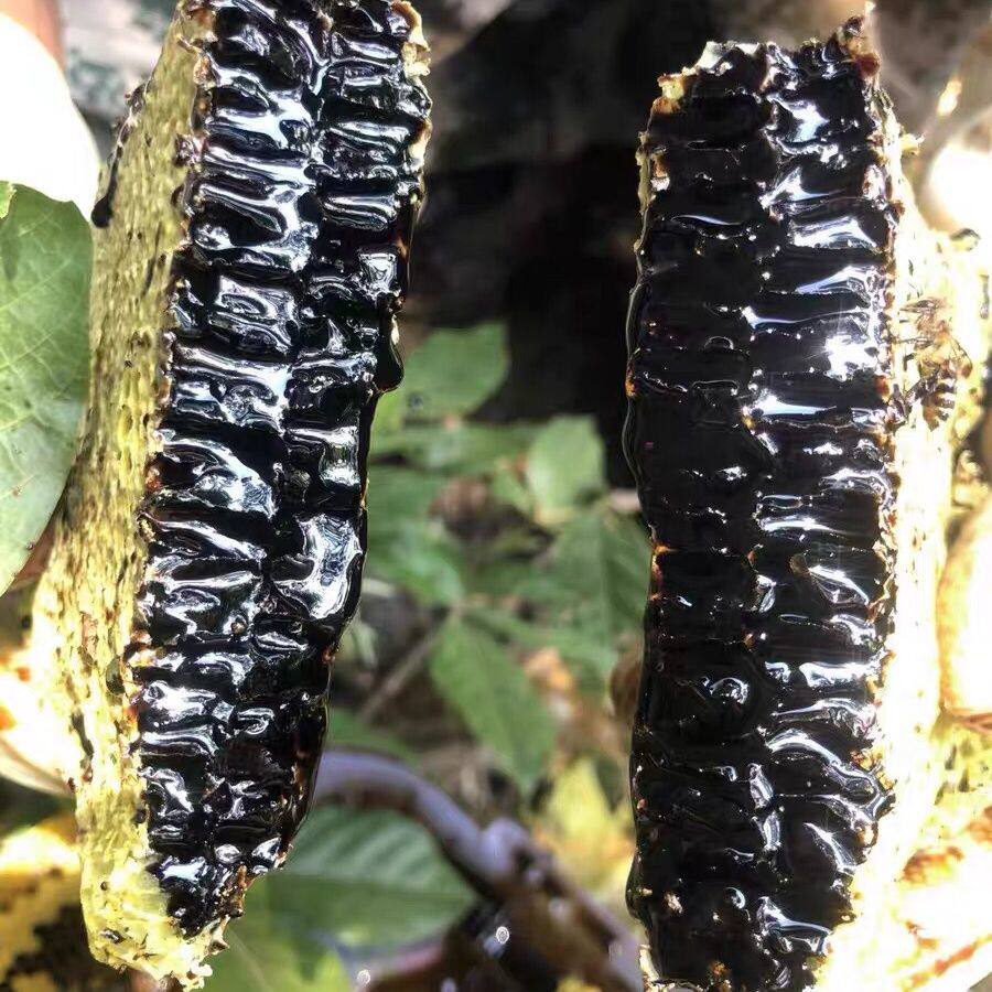 云南黑蜂蜜高山野生米团花黑蜜便宜散装通用罐装蜂巢蜜真天然食用