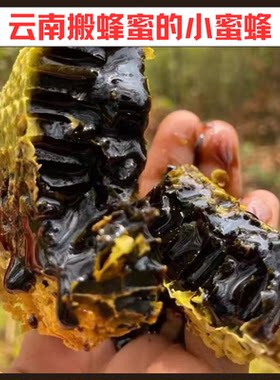 云南土特产纯正野生黑蜜蜂蜜高山500g成熟花蜜中华农家黑蜂真天然