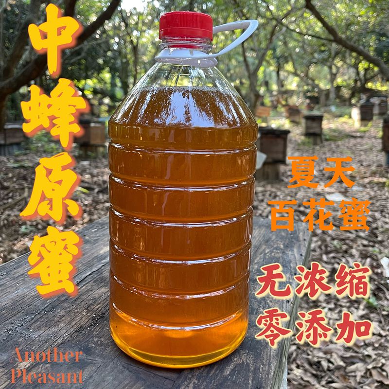 2025年中蜂土蜂新鲜百花蜜原蜜