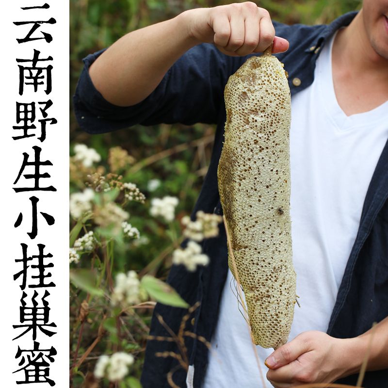 [现货]南一味云南深山野生小挂巢蜜百花蜜带蜂巢含花粉嚼着吃蜂