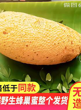 云南正宗野生蜂蜜高原自然成熟小挂蜂巢蜜嚼着吃树洞百花蜜土蜂蜜