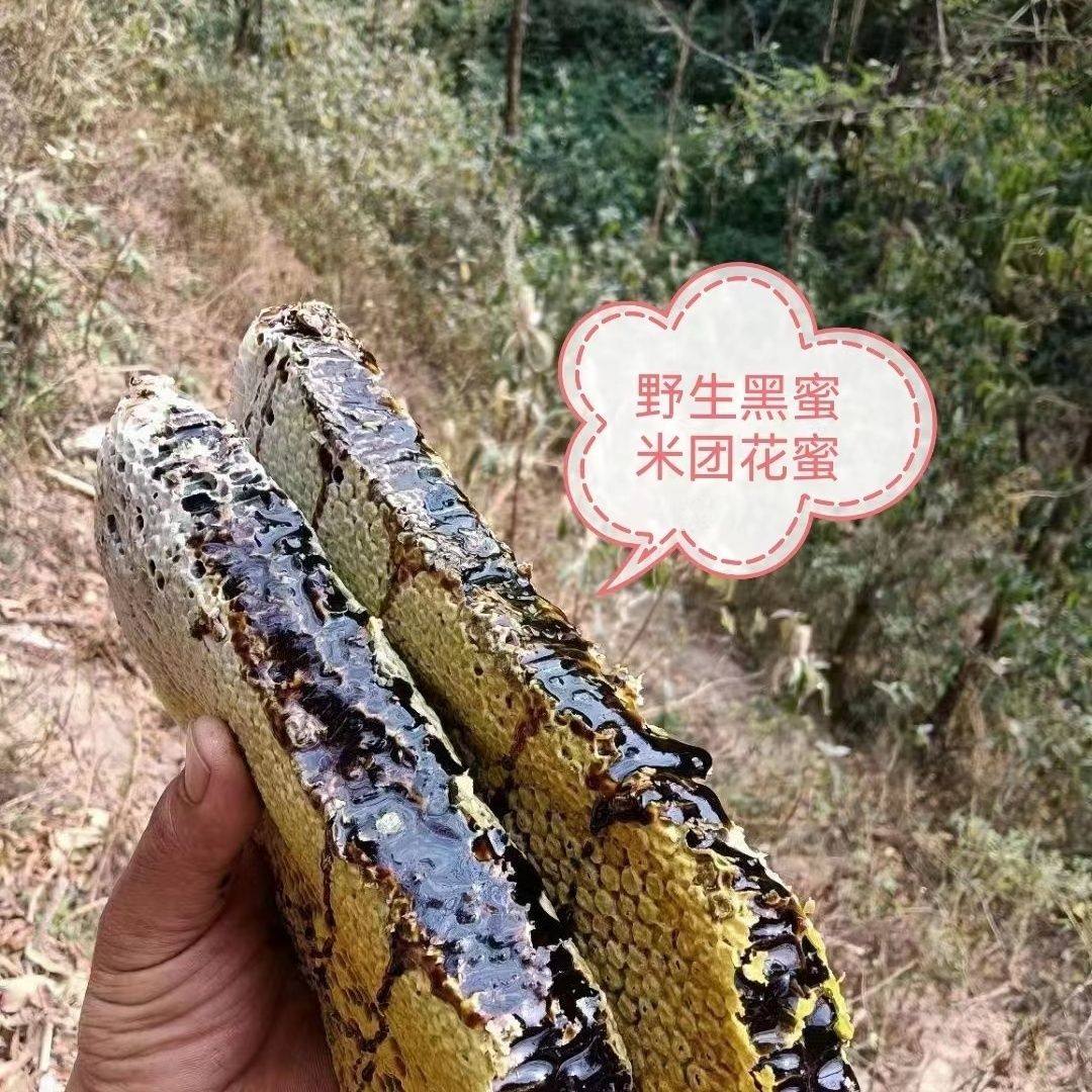 云南米团花黑蜂蜜100分真天然黑蜂高原无添加滋补养生即食
