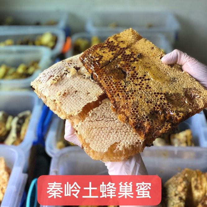 秦岭野生蜂巢蜜500克土蜂巢蜜纯正天然农家自产蜂峰丰巢巣蜜泡