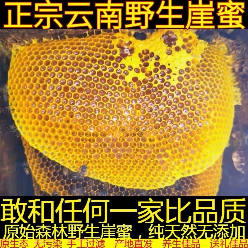 云南崖蜜野生岩蜂蜜悬崖蜂巢蜜土蜂蜜成熟百花蜜天然蜂蜜纯正斤装