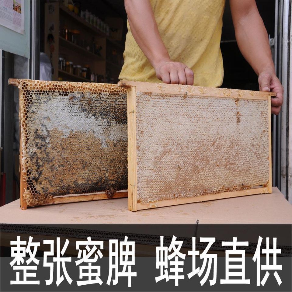 新巢蜜纯天然野生嚼着吃的蜂巢蜜新巢可整版发蜂农直销蜂巢蜜整块