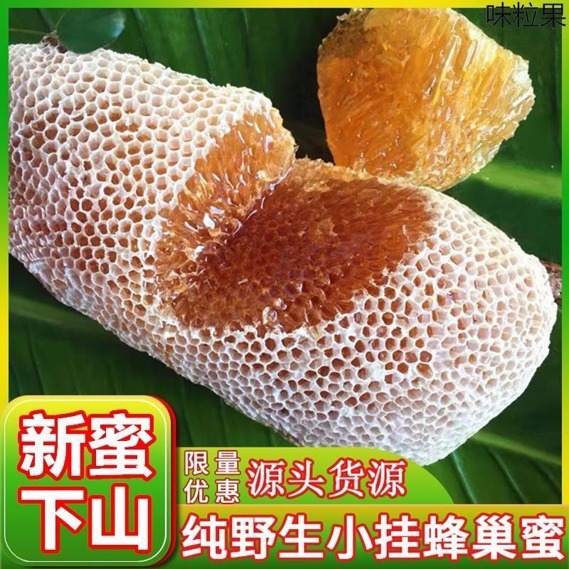 云南野生小挂蜜巢蜜嚼着吃纯正天然土蜂蜜百花蜜小草蜂蜜新蜜下山