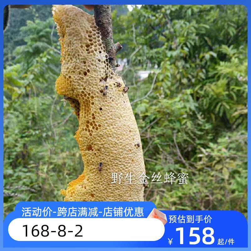 云南小挂蜂蜜嚼着吃纯正天然宗野生百花老巢孕产妇便秘送女友麦卢