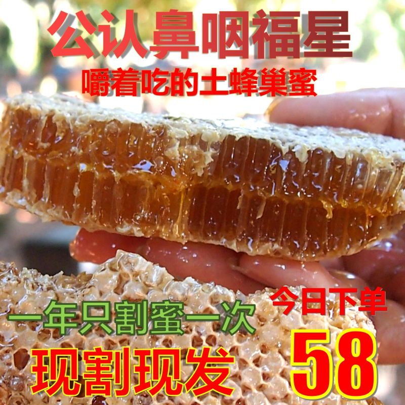 蜂巢纯正天然野生嚼着吃蜂巢蜜农家自产蜂蜜纯正然蜜块500g礼