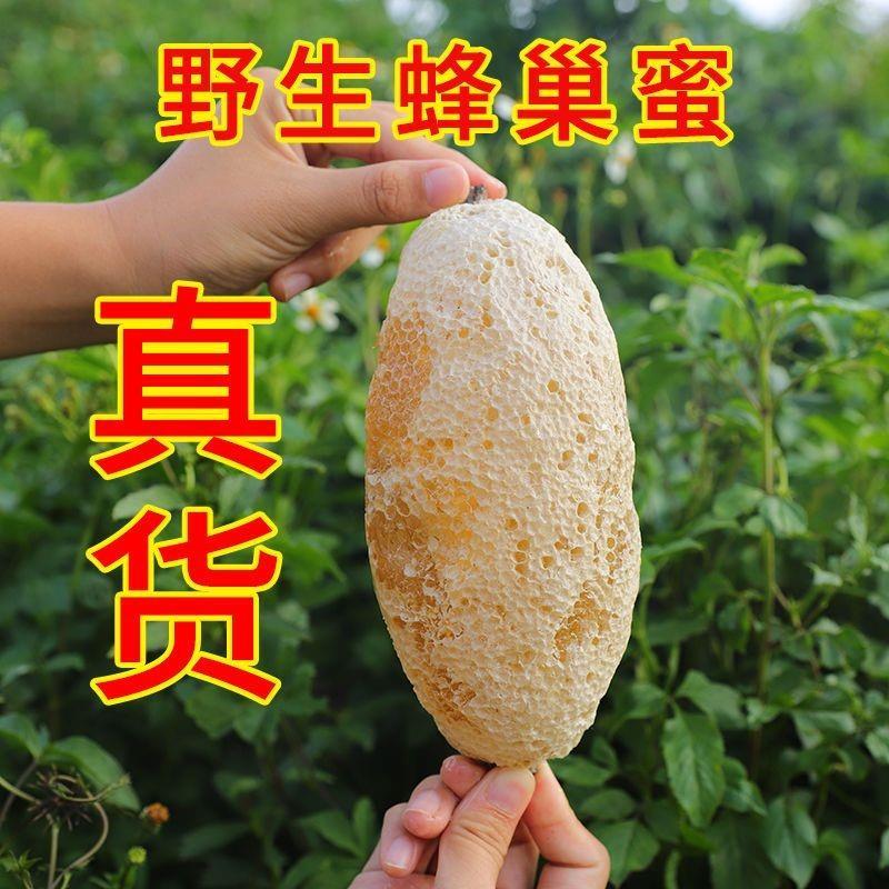 云南野生小挂蜜巢蜜嚼着吃纯正天然土蜂蜜百花蜜小排蜂蜜小草蜂蜜