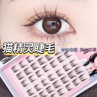 小猫儿懒人假睫毛细梗猫精灵分段式自然易嫁接卷翘单簇新手女