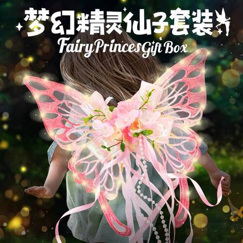 翅膀梦幻仙女精灵儿童玩具仙子