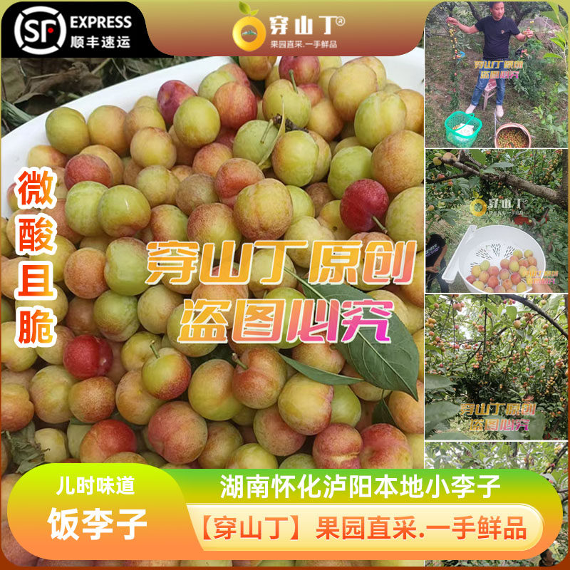 湖南怀化本地李子_小李子嘎嘣脆_酸甜可口_酸酸甜甜_小时候味道