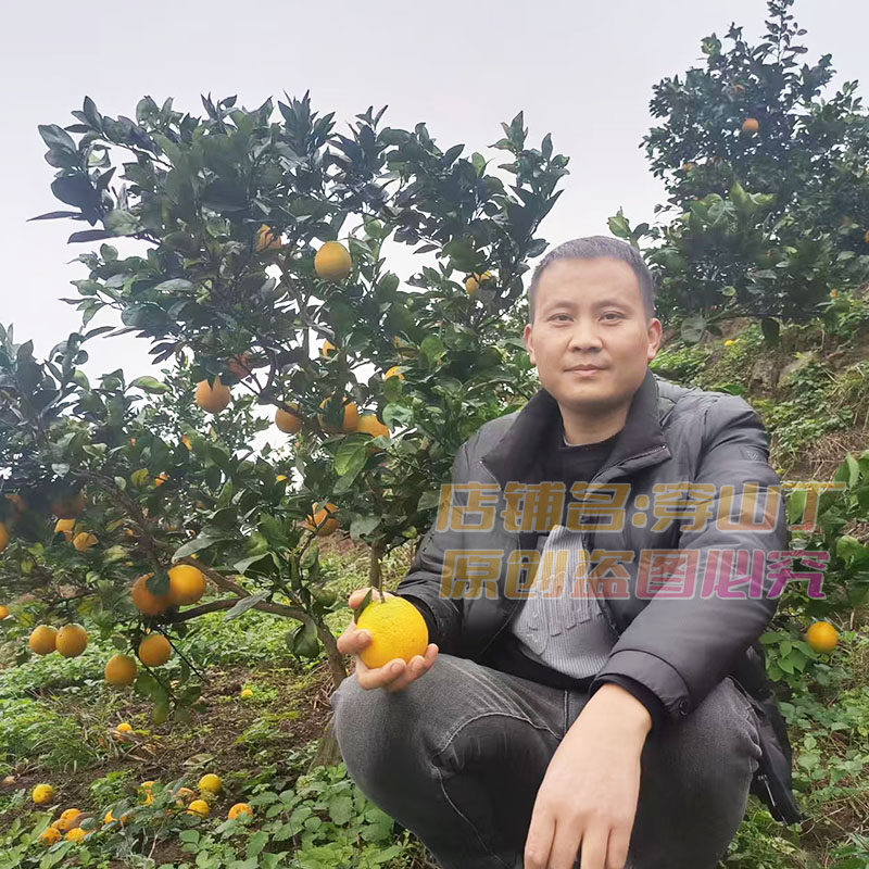 湖南怀化麻阳新鲜甜橙子_麻阳纽荷尔脐橙_香甜当季孕妇水果