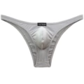 Gray Brief