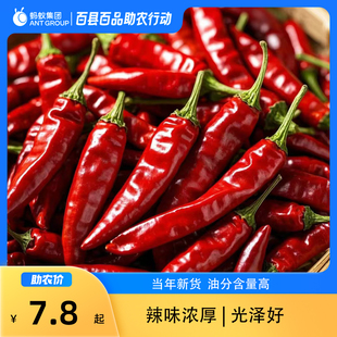 重庆石柱特产辣椒干货石柱红5号香辣干辣椒本地海椒红辣椒新货上