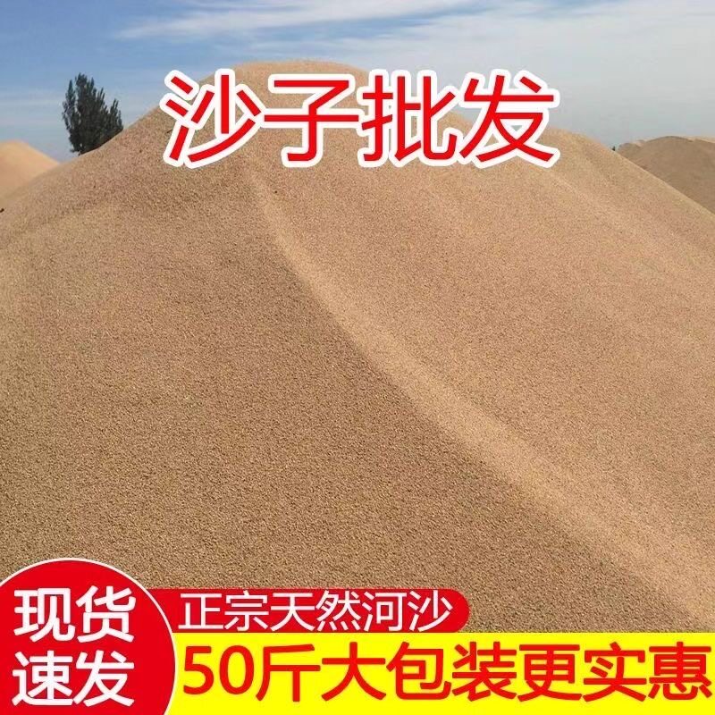 天然河沙儿童细沙乌龟冬眠鱼缸造景底沙多肉种植土建筑沙子消防沙