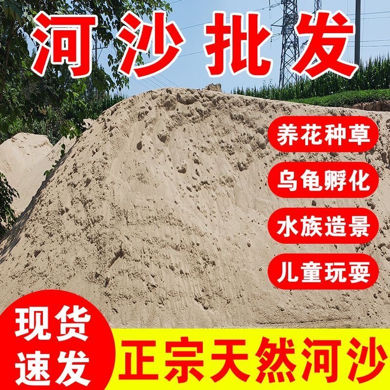 粗细河沙种植养花拌土天然黄沙铺面石乌龟冬眠孵蛋鱼缸底砂消防沙,基础建材,中沙,淘宝优惠券,粉丝福利购,淘宝优惠卷