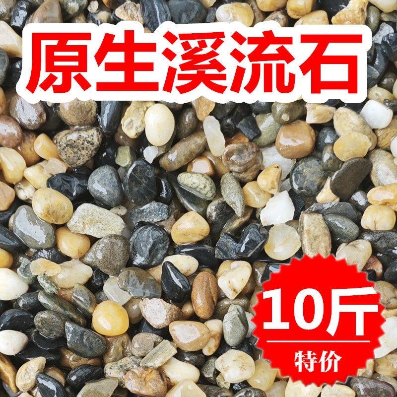 原生溪流石造景鱼缸底砂装饰五彩石大石头天然铺底免洗鹅卵石豆石 - 实物图