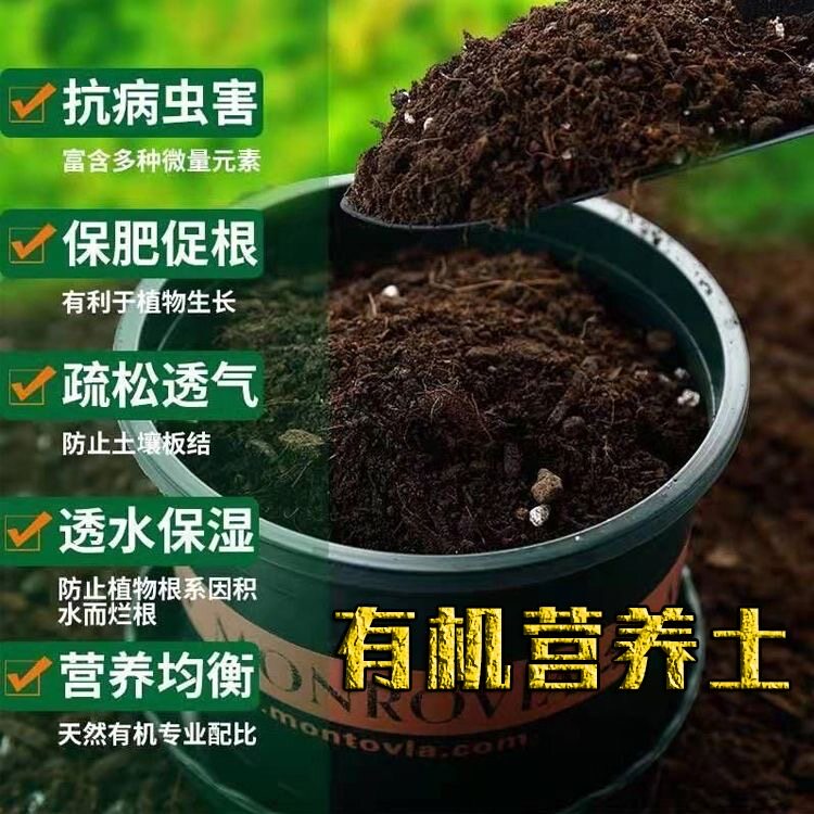 有机营养土种菜绿萝花卉盆栽图片