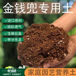 金钱兜适用土泥炭土绿植盆栽通用土壤家庭盆栽营养土专用绿植肥