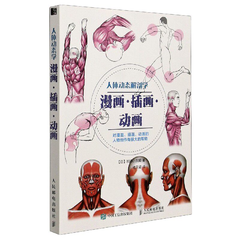 人体动态解剖学(漫画插画动画)
