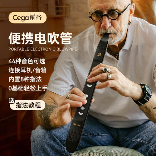 CEGA初学入门电吹管电萨克斯