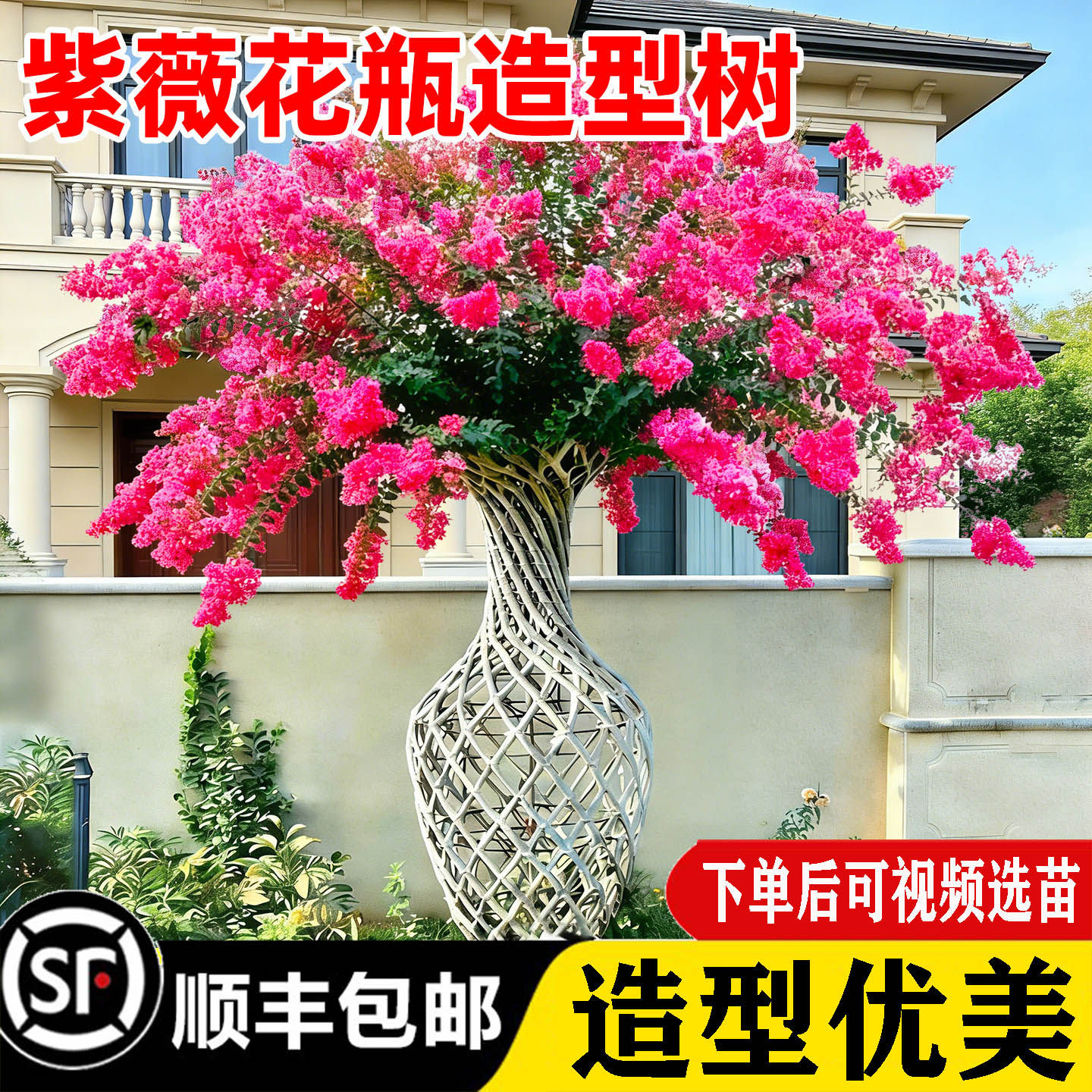 紫薇花树苗造景花瓶庭院别墅花园绿化植物公园工艺品造型景观花卉