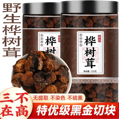 桦树茸茶500g长白山野生白桦茸黑金切块颗粒官方正品非俄罗斯进口
