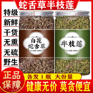 白花蛇舌草半枝莲半边莲茶中药材正品野生特级泡水喝的功效与作用