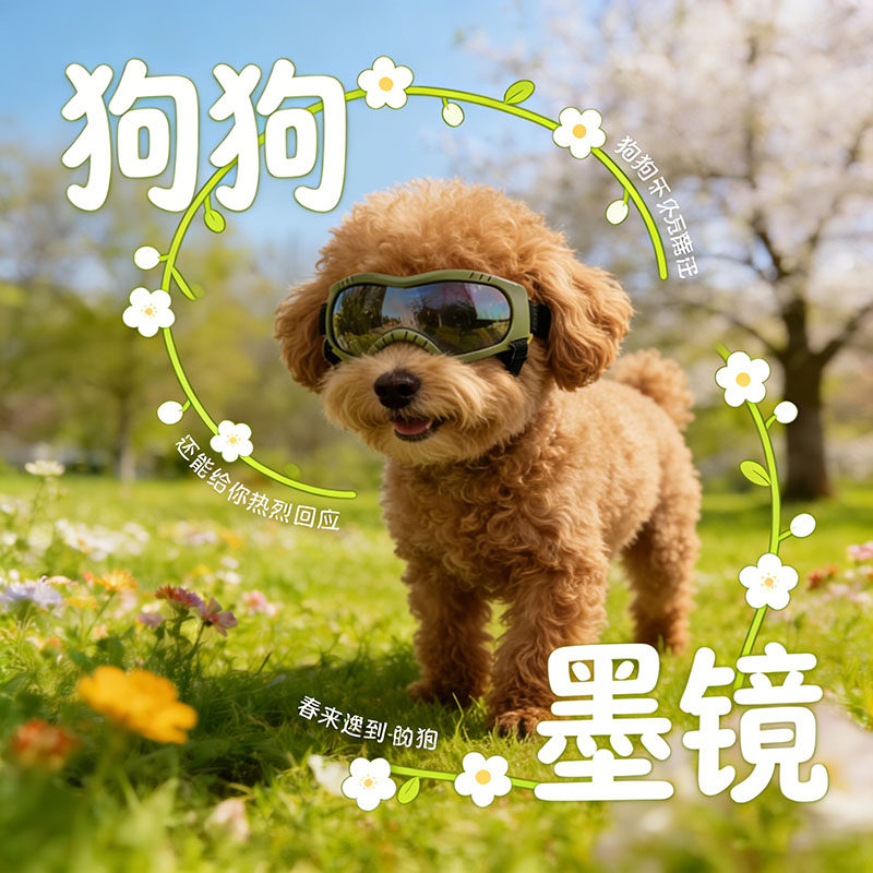 狗狗墨镜小型犬泰迪专用眼镜防风镜宠物小狗护目镜外出用品防风沙