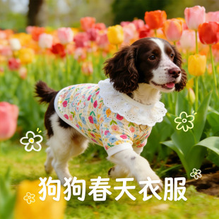 史宾格专用狗狗衣服春装薄款2026新款宠物小狗背心大型犬春夏天