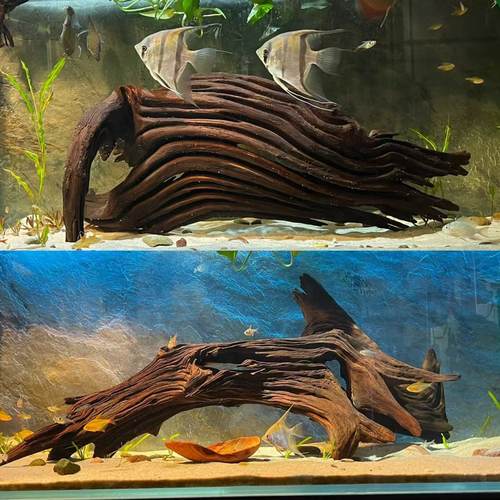 60缸鱼缸小沉木造景摆件