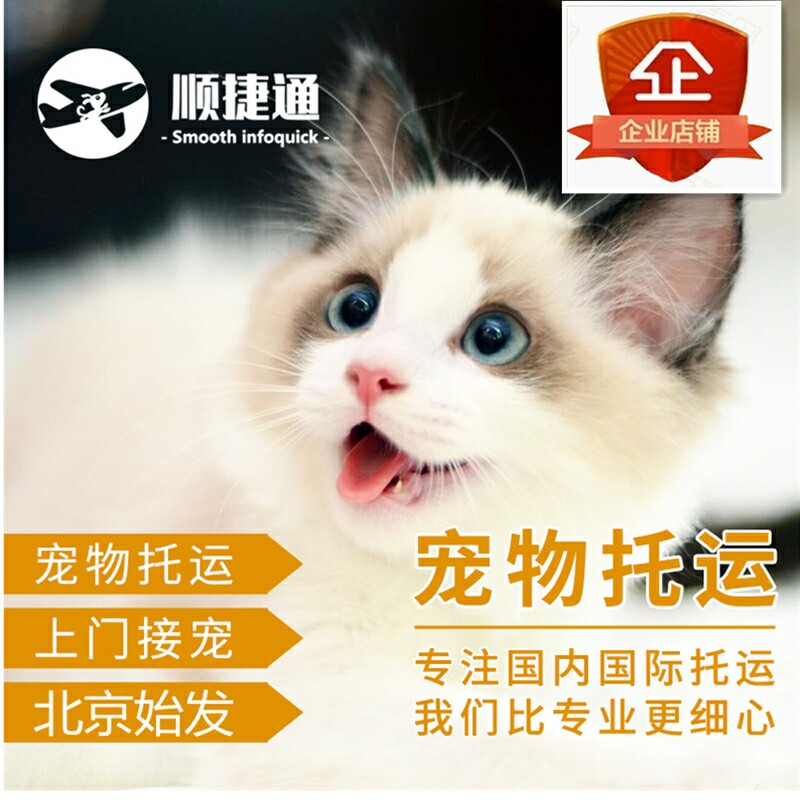 北京至全国宠物托运国际国内空运汽车猫狗动物快递运输上门服务