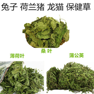 包邮 兔子保健草桑叶 薄荷叶 蒲公英豚鼠龙猫清热解毒助消化牧草