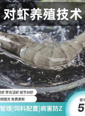 对虾养殖技术视频教程南美白高产大棚全套淡水斑节小龙虾饲养方法