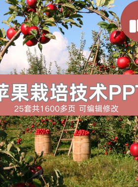 苹果栽培技术PPT课件矮化种植果树优质丰产施肥管理病虫害防治